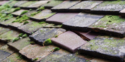 Caxton roof repair costs